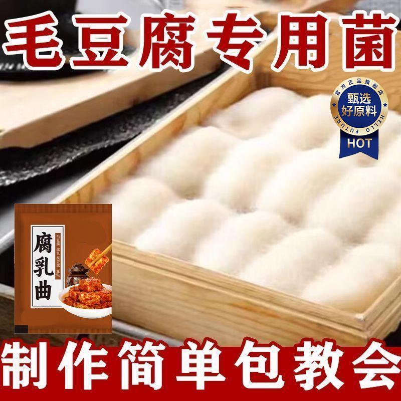 正宗曲子腐乳曲家用发酵菌粉菌霉菌豆豉臭豆腐长白毛霉豆腐乳曲粉