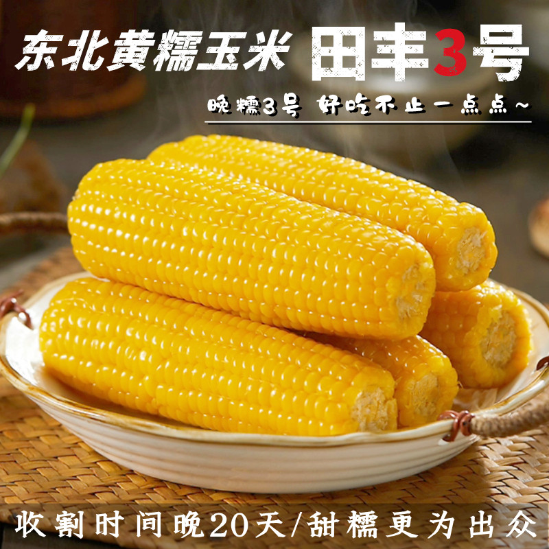 田丰3号东北黄糯玉米新鲜大棒粘黏苞米粗粮早餐健身主食真空包装