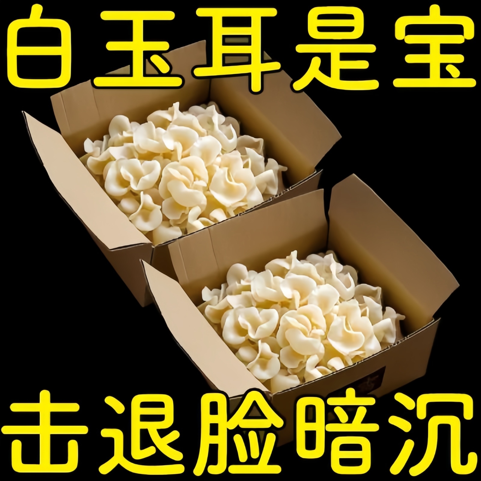 【2025年新货特产有机】白玉木耳