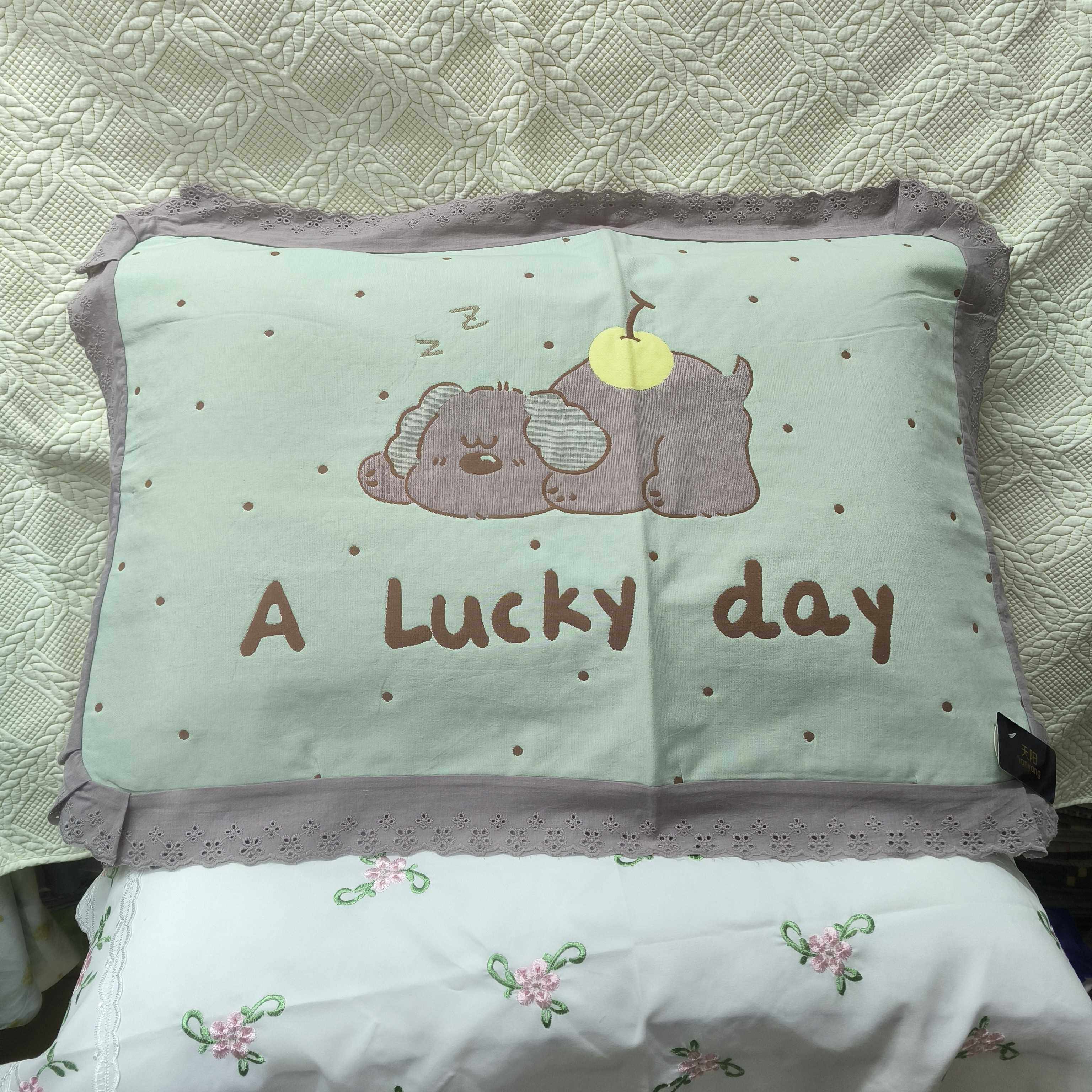 【官方旗舰店正品】纱布枕巾纯棉一对轻奢高级感等品实体店天阳新