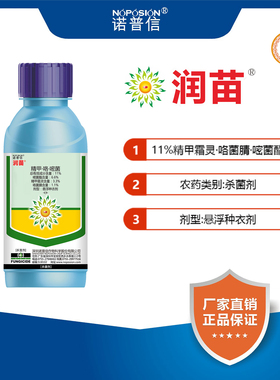 诺普信润苗11%精甲·咯·嘧菌 猝倒病立枯病根腐病拌种农药杀菌剂