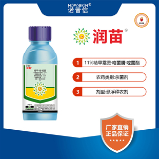 诺普信润苗11%精甲·咯·嘧菌 猝倒病立枯病根腐病拌种农药杀菌剂