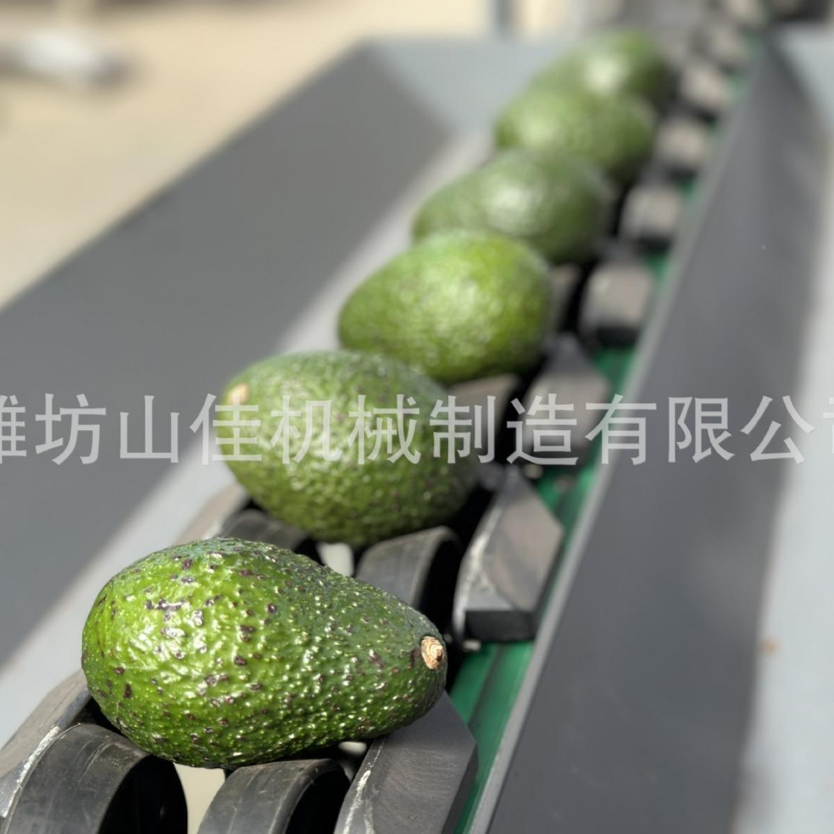 灯笼椒皇冠梨分分机 番石榴拣分芭乐级机QSV 自动选果机检重级机