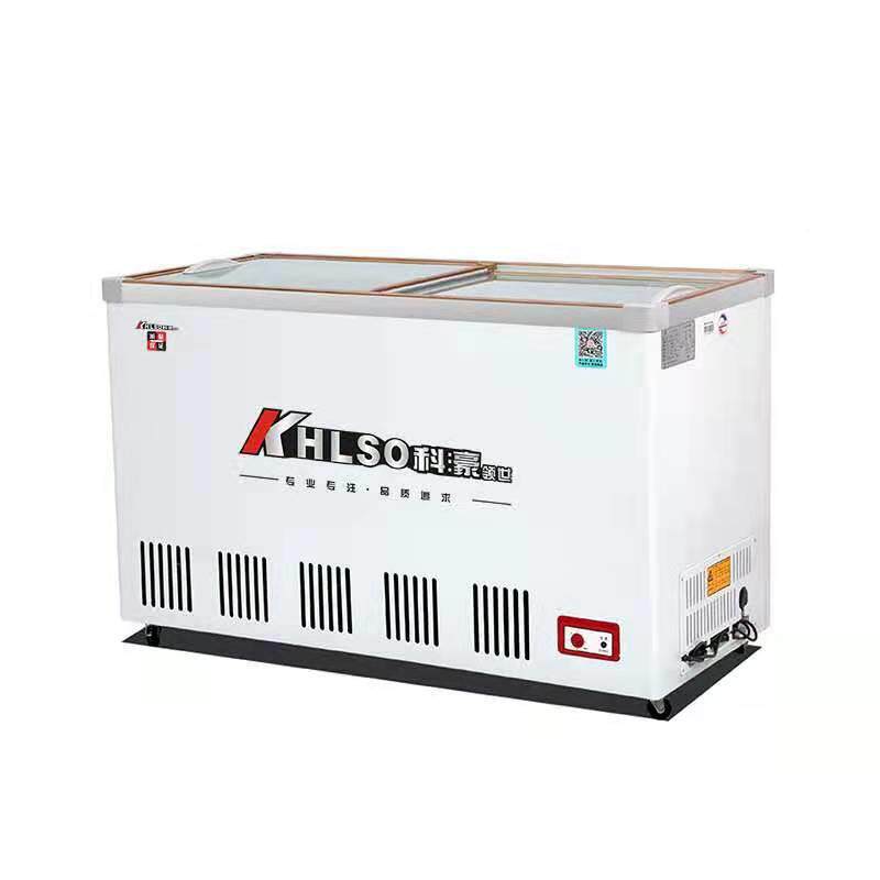 深冷圳冰柜店式冷藏冻柜便利雪糕柜双门雪糕柜小型卧商用冰箱