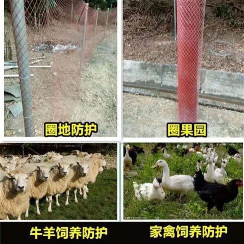 防锈菱形钢板f网铁丝网围栏网格网钢丝养殖拦鸡网圈玉米护栏防护