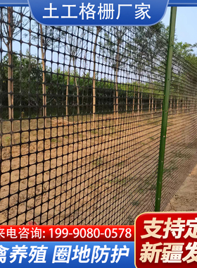 土工格栅养e殖围栏网拦鸡鸭鹅果园家用黑色塑料网格防护养蜂防鸟