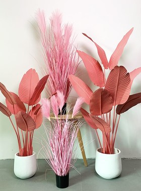 仿真粉色椰子树彩色槟榔树大型椰C树室内橱窗景观假绿植粉红色摆