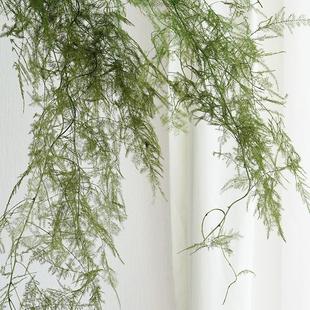 仙气文竹永生花干花花束悬挂婚庆花材造景树枝场景布置拍摄道具