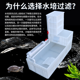 家用养乌龟缸生态缸周转箱大型过滤器低水位塑料免换水专用饲养箱