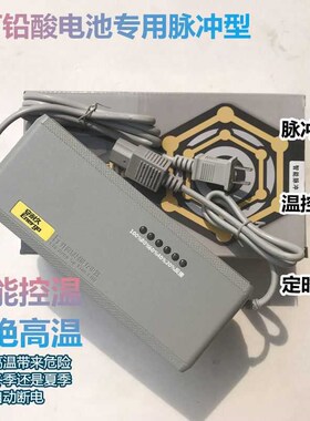 电动车充电器48V60V72V80V84V96V/20A12A32A38A45A58六灯显示
