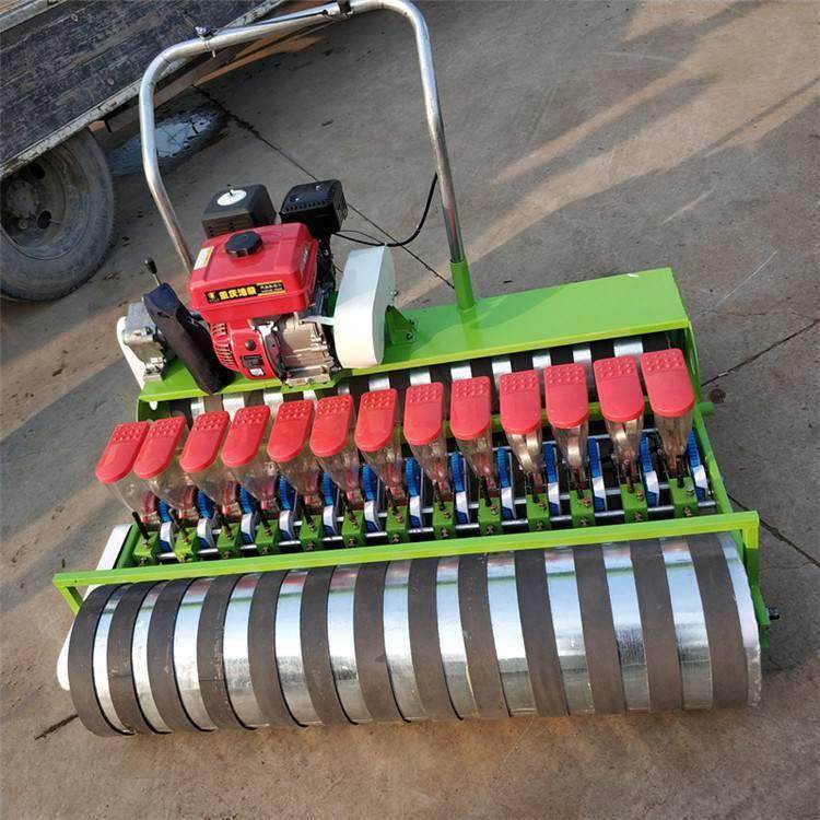 小型蔬菜播种机 7行香菜精播机 药材谷物汽油种植机 鲁源工,农机/农具/农膜,播种栽苗器/地膜机,淘宝优惠券,粉丝福利购,淘宝优惠卷