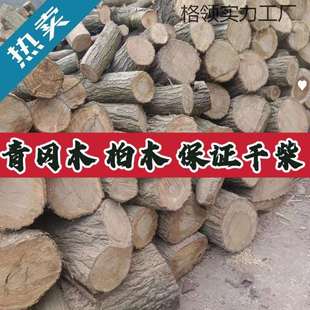 青冈木橡木树柴火果栎木枣木松木柴烤烧火干头户外篝火壁炉野炊㭎