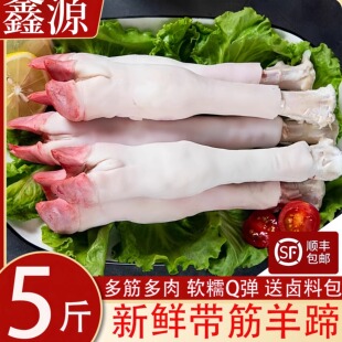 新鲜羊肉内蒙羊杂新鲜羊蹄冷冻带筋羊蹄筋小羊蹄羊脚散养批发