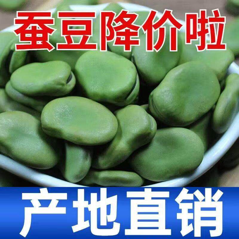 新生蚕豆干豆子农家绿皮罗汉豆胡豆青皮干货可发芽袋装非四川5斤