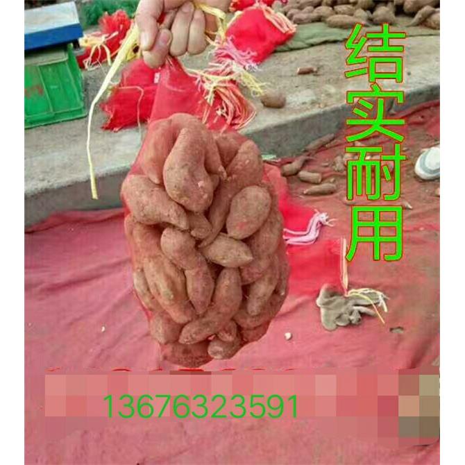 鹏编成塑料5织袋794厂家生纱网袋26x0cm产网眼袋带束口绳价优