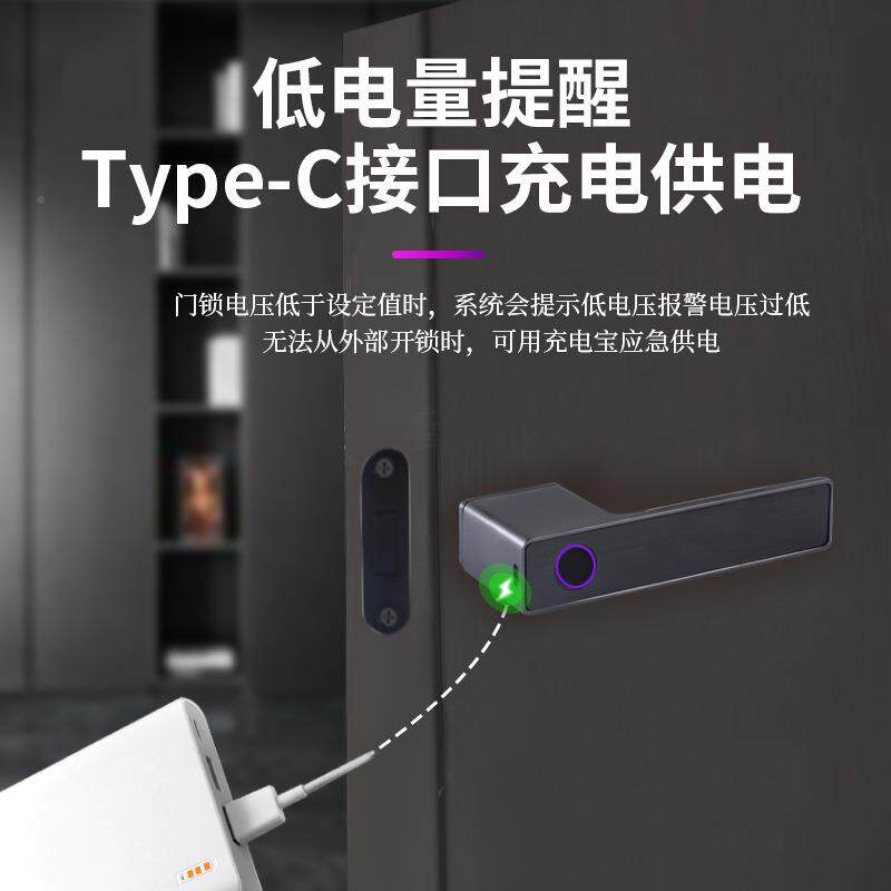 内智指能电纹锁静音磁吸卧室木门办室公室通指纹锁用型门锁极简生