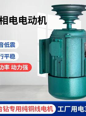 钻床台钻电机电2230v80V三相动机家用75瓦单相感应电动JSH机变0速