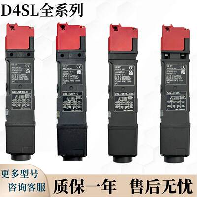 电磁锁N安全门锁开关DSL-2EFA/N2EF/N4EFA/N44GED4SL-N2EFG-DND4D