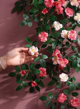 zbds薇摆花墙壁挂花藤墙装饰面QXC假花设蔷客厅藤蔓遮挡装饰吊兰