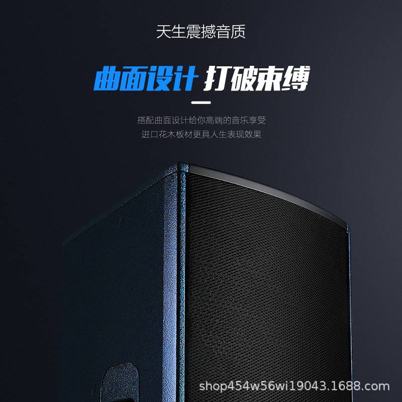 德国WEDL专业10寸12寸音响 家庭KTV唱歌娱乐包房打碟房大功率音箱