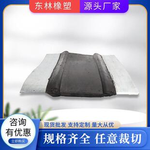 钢边止水带中孔钢边橡胶止水带中埋式钢边止水带350*6*8*10厂家