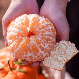 四川甘平柑橘皇后当季现摘5斤9眉山甘平橘子特大果高端水果甜桔子