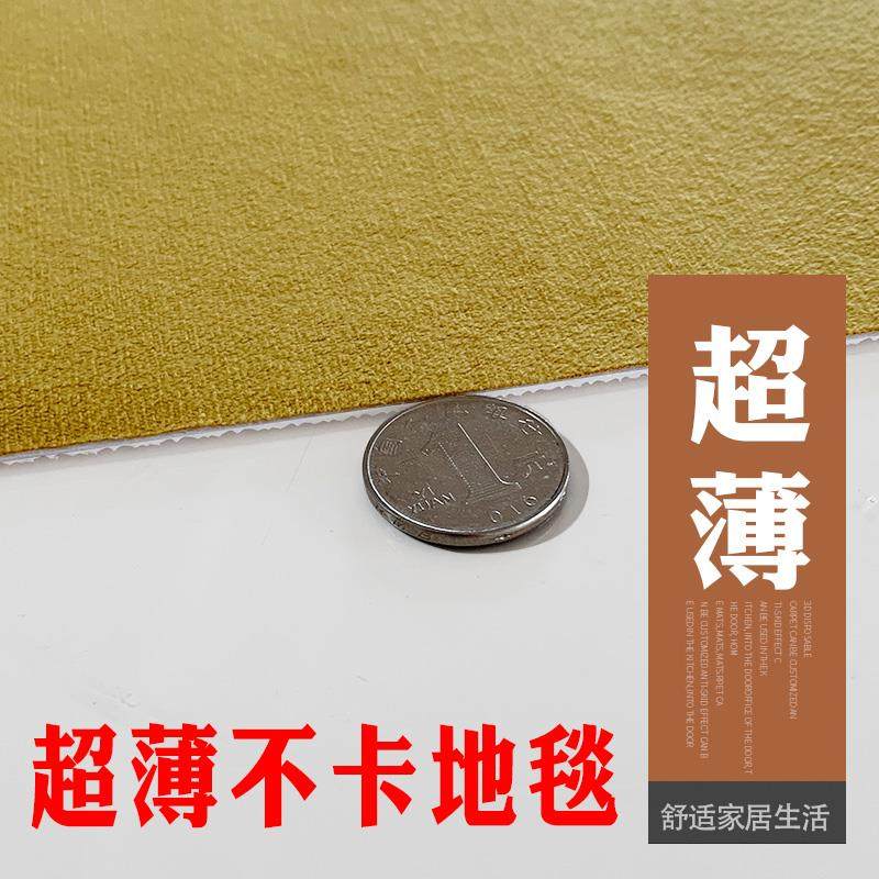 超薄不卡门2mm入户门玄关地垫可裁剪吸水家用进门口垫子1mm薄地毯