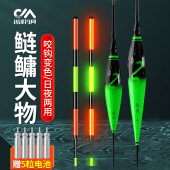 川泽AB大物夜光漂日夜两用加粗醒目电子漂巨物漂超亮鲢鳙浮漂鱼漂