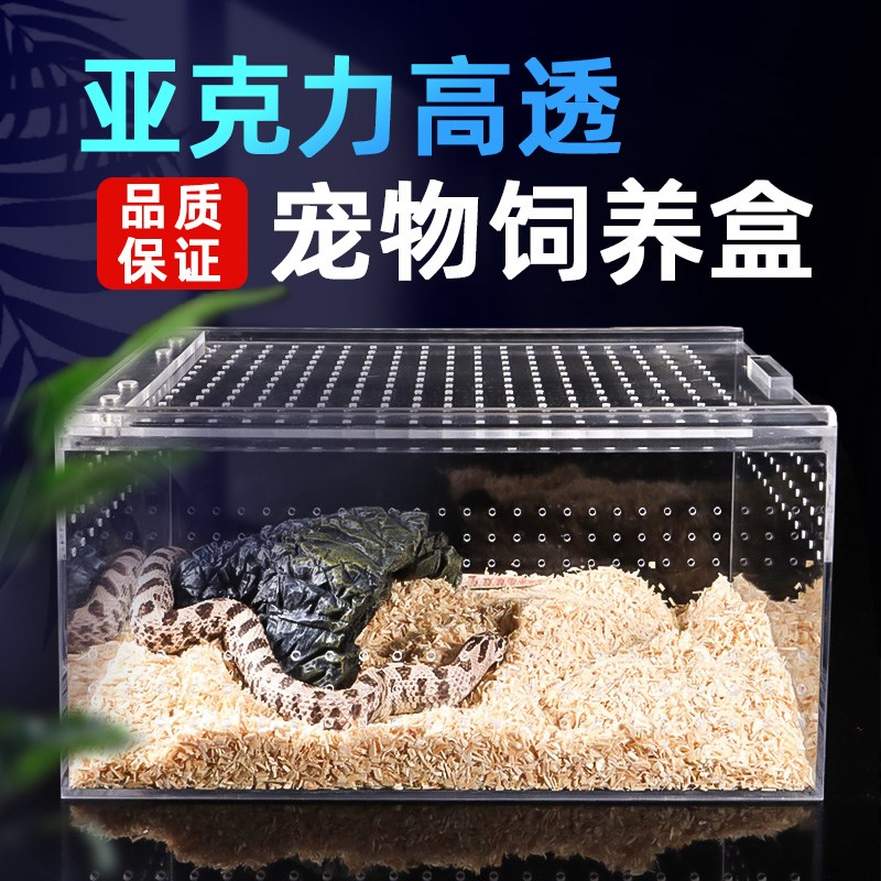 爬虫亚克力饲养箱透明鬃狮R属睫角守宫角蛙蜥蜴蛇甲虫造景饲养盒