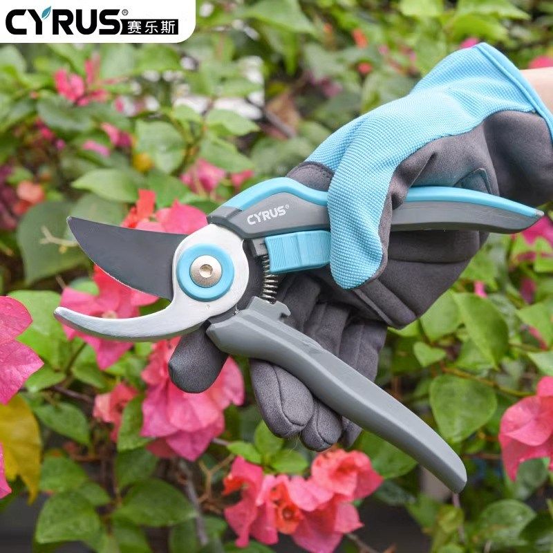 园艺剪刀剪树枝修剪植物SK5盆栽花艺修枝剪雪柳花园修花家用花剪,鲜花速递/花卉仿真/绿植园艺,剪刀,淘宝优惠券,粉丝福利购,淘宝优惠卷