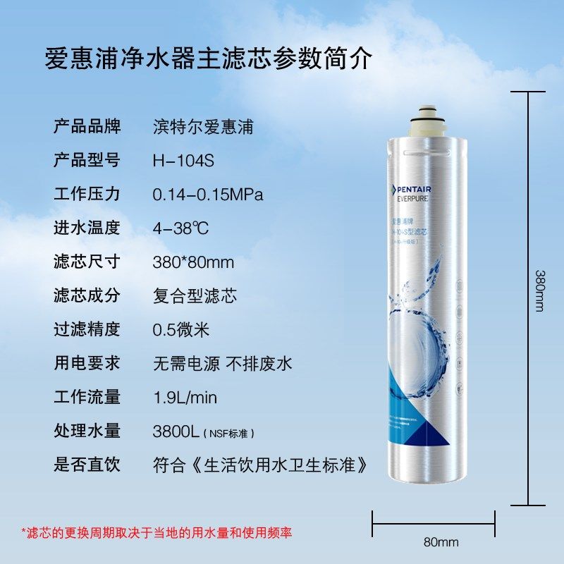滨特尔爱惠浦净水器H100滤芯H104主滤芯EVP-6000 EVP3000EV961116 - 实物图