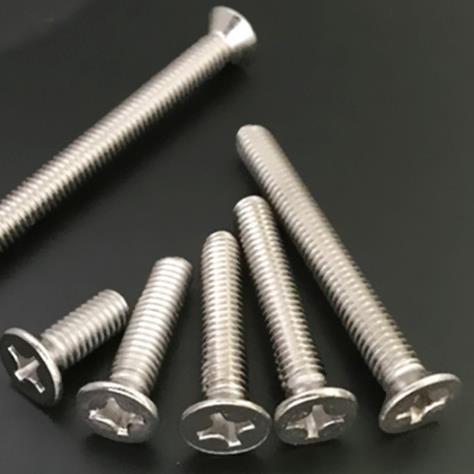 BCAGB8机19长不锈钢加字沉十头螺钉M5x100