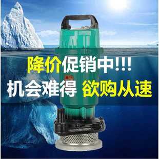 370W单相220V大口径潜水泵小型家用农用清水泵抽水电泵潜水泵 QDX