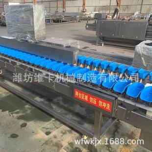 水果重量分选机 海参牡蛎称重分拣机 自动沃柑多级重量分级机