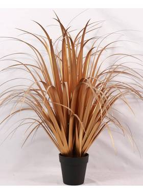 仿理真千古木大叶子栽草简洁大EHX方美易打室内装饰化盆现货出售