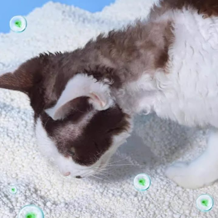 玉米淀粉猫砂挤压机 木薯淀粉猫砂膨化机 双螺杆生产机械设备