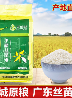 增城仙姑故里小楼丝苗米当季新米