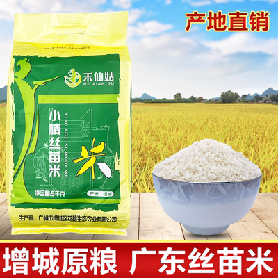 增城仙姑故里小楼丝苗米当季新米