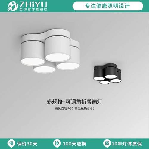 至御双头明装筒灯led吸顶式灯可调三头四头天花灯客厅无主灯012