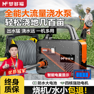 抽水泵机家用小型潜水浇菜地泵高扬程大流量农用灌溉吸水泵 充电式