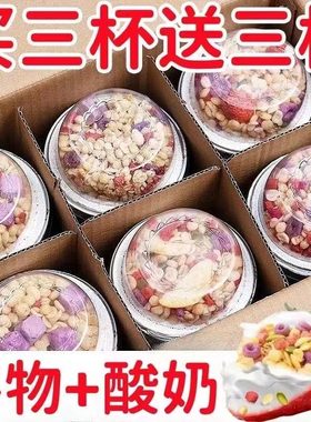 每日搅拌酸奶大杯谷物嚼拌酸奶杯牛奶拌坚果早餐水果燕麦片整箱