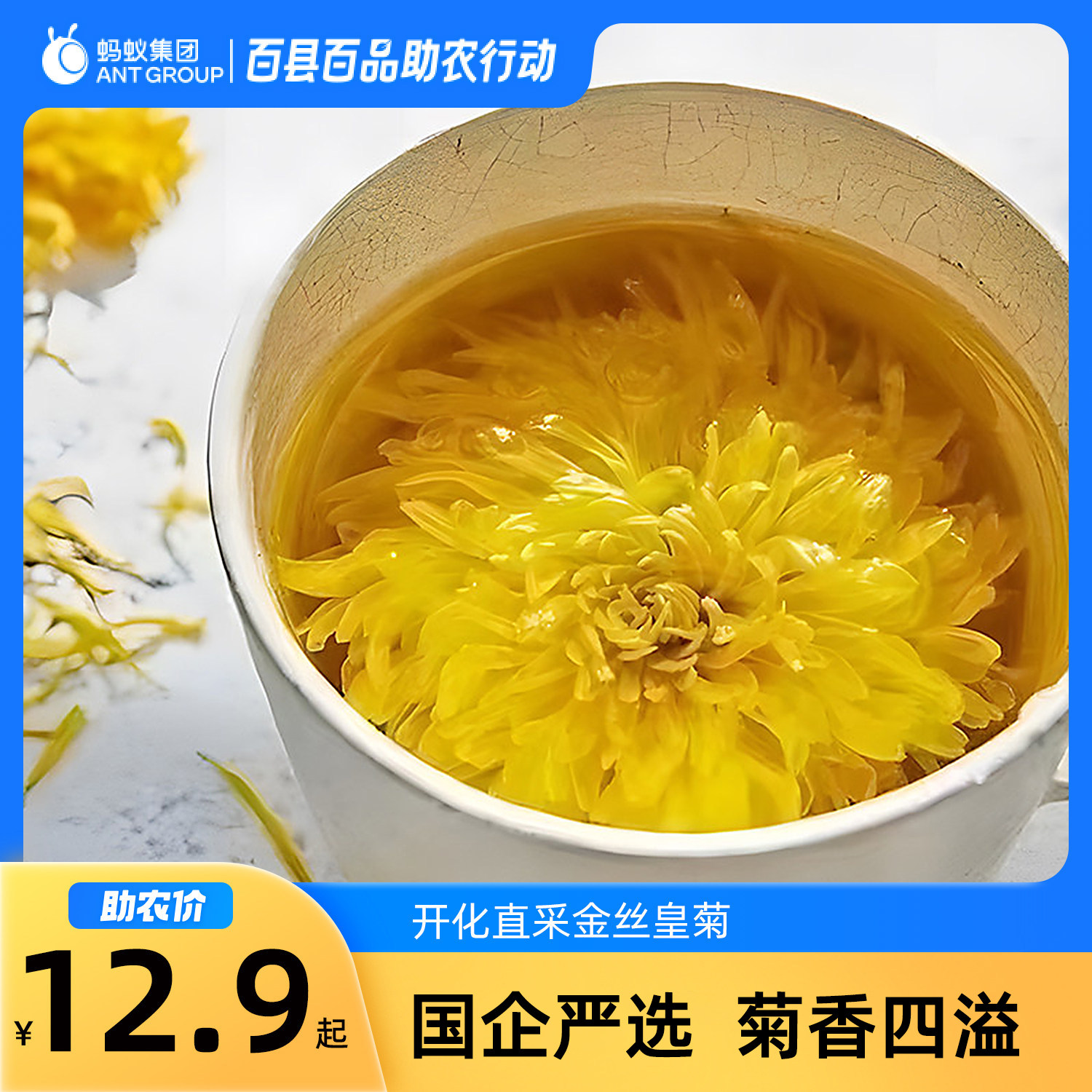 正品罐装菊花茶金丝皇菊花茶清热去火花草茶茶叶一朵一杯 35 克