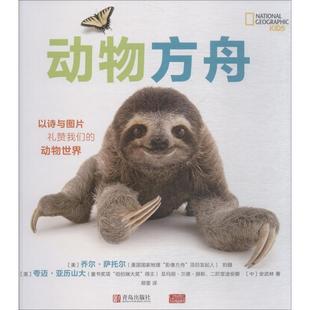 动物方舟青岛出版社儿童动物保护科普绘本小学生课外阅读书籍6-12岁诺亚方舟动物故事图画书正版