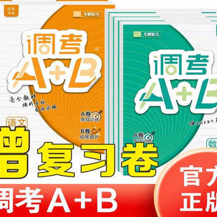 同步练习册试卷A卷专项训练B卷 上调考A加B语文人教版 2025秋成都市调考a b四年级下五年级下456四五六年级上册下册数学北师大版