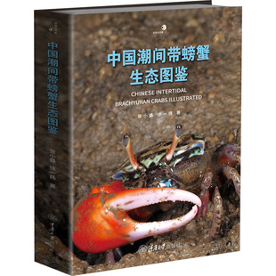 生命科学 中国潮间带螃蟹生态图鉴张小蜂 社自然科学 著重庆大学出版 生物学 徐一扬