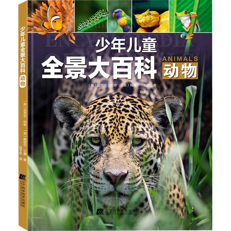 少年儿童全景大百科 动物(英)迈克尔·利奇,(英)梅丽尔·兰德辽宁科学技术出版社儿童读物/童书/科普百科