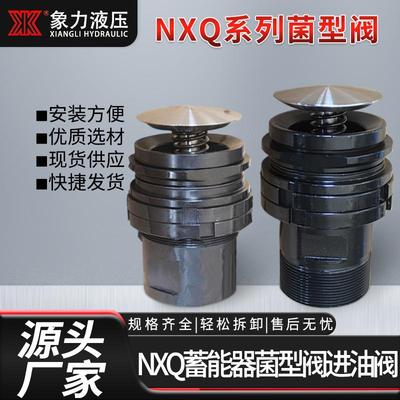 厂家直供NXQ蓄能器进油阀菌型阀蓄能器组件40L螺纹法兰型进油阀