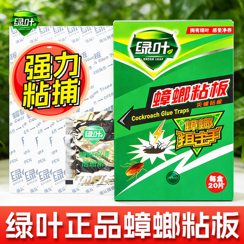 绿叶蟑螂粘板家用长效诱捕20片