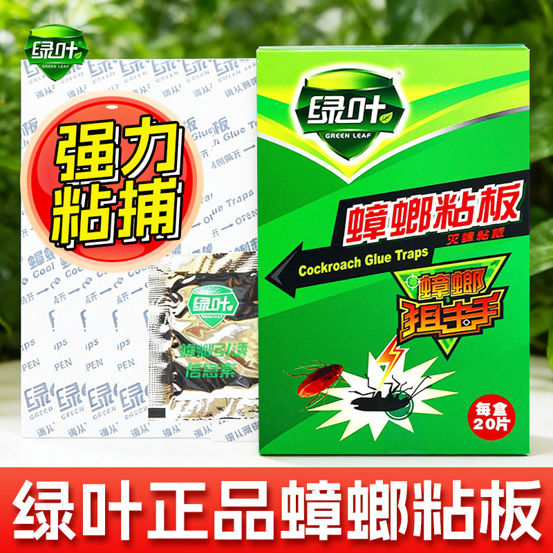 绿叶蟑螂粘板家用长效诱捕20片
