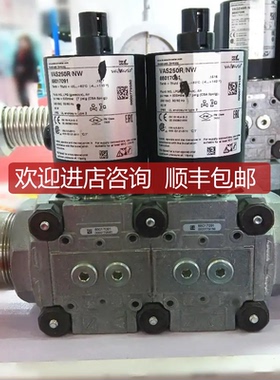 询价Kromschroder霍科德 燃气电磁阀 VAS250R/NW